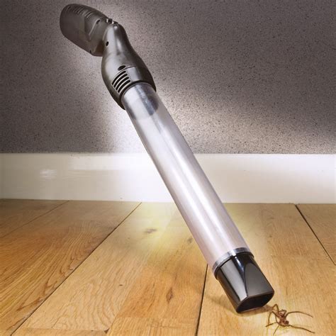 Can Insects Escape A Vacuum: The Science Behind Pressure And Survival
