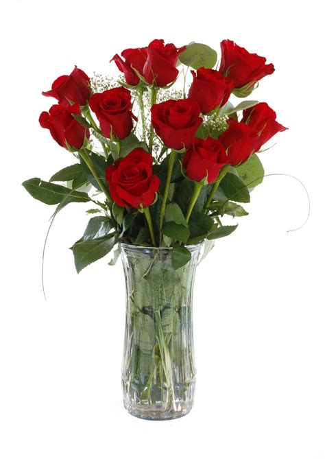 Dozen Roses in a Vase