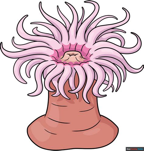 How to Draw a Sea Anemone - Really Easy Drawing Tutorial