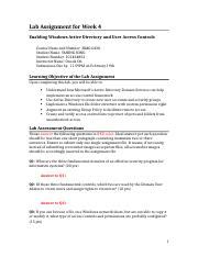 Access Assignment 的图像结果