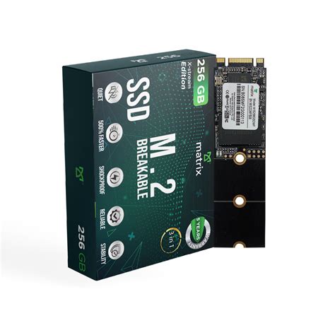 M.2 BREAKABLE SSD 256GB