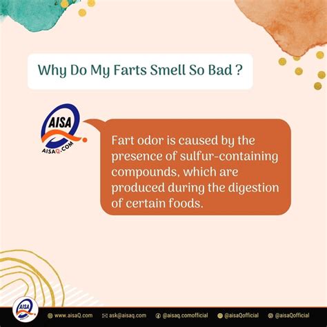 Why Does Fart Smell