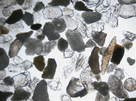 Black Sand Under Microscope