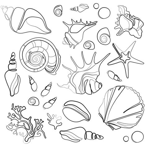 Image result for Shell Line Art