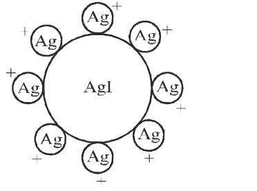 When dilute aqueous solution of AgNO 3 (excess) is added to KI solution ...