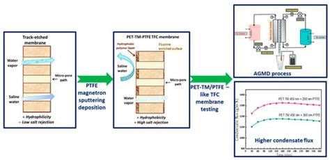High-Performance PET-TM/PTFE-like Composite Membranes for Efficient ...