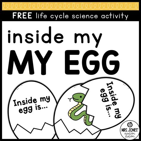INSIDE MY EGG SCIENCE ACTIVITY - Mrs. Jones Creation Station
