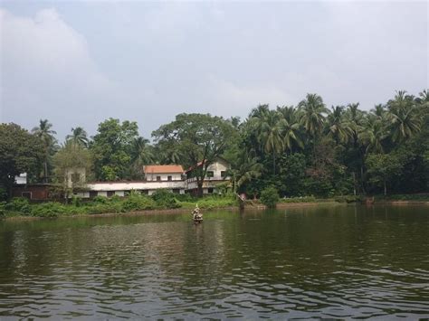 Kuttippuram Tourism: All You Need to Know Before You Go (2025)