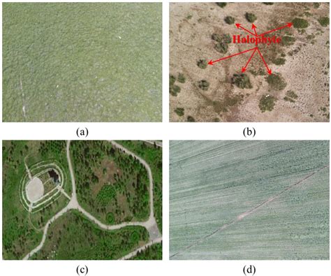 Study on Landscape Ecological Classification and Landscape Types ...