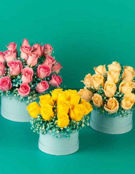 Online Rose Delivery in Pune & Mumbai | Send Roses Online – Shamuns Flowers