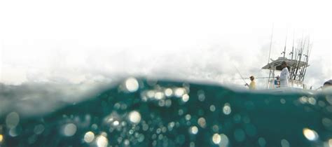 Image result for Humminbird Electronics