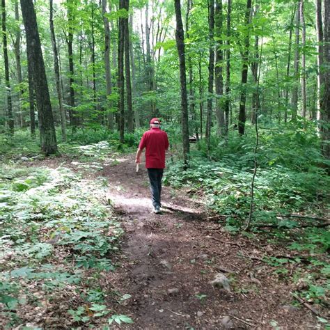 ABBEY GARDENS DISC GOLF TRAIL (2026) All You SHOULD Know Before Going ...