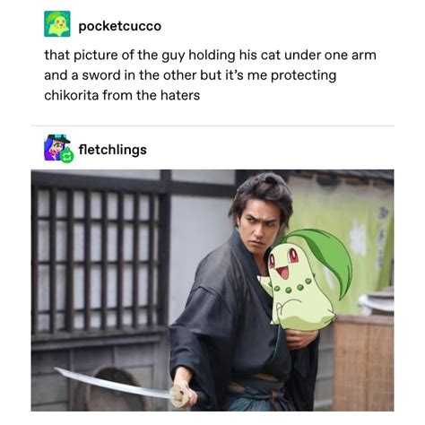 BlueKanto: I'm Dying Squirtle | I get that people were disappointed ...