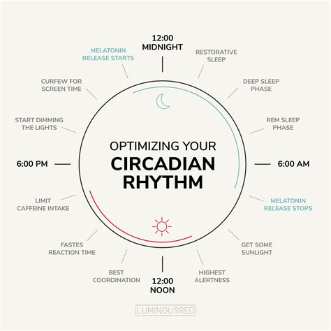 Circadian rhythm fasting eating to align with your internal clock – Artofit