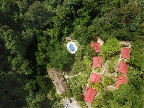 ESQUINAS RAINFOREST LODGE (Gamba) - Hotel Reviews, Photos, Rate ...