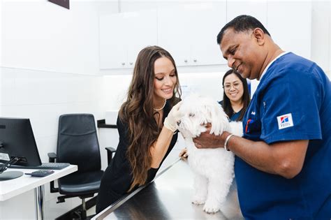 Veterinarians: Meaning, Types, and Specializations
