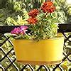 ecofynd 12 Inches Aurelia Railing Planters for Balcony, Hanging Pots ...