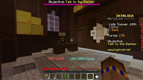 Image result for Hypixel Skyblock Guide