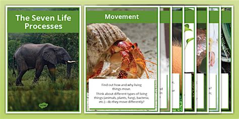 Image result for Life Process Class 5 Kind Story