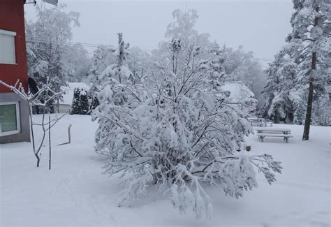 Vule Divcibare (Divčibare, Srbija) | Turistički Centri, Hoteli i ...