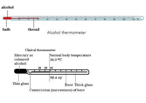 draw the diagram of laboratory and clinical thermometer.please give the ...