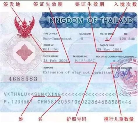 泰国官方推5~20年精英签证 有的甚至买房就送！_服务