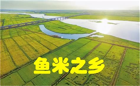中国四大鱼米之乡是什么（真正的鱼米之乡是哪里） – 碳资讯