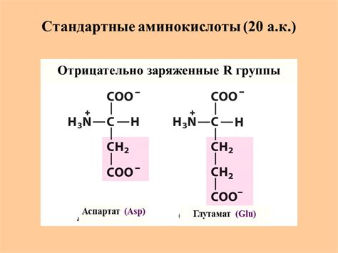 Основы биохимии. Лекция №2 Аминокислоты. Пептиды. Белки. Аминокислоты