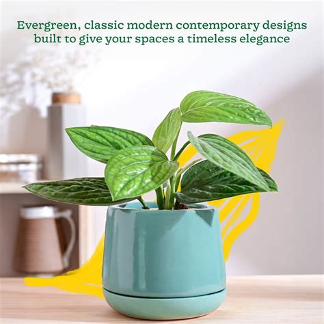 Buy Premium Pots for Plants at Best Prices | Ugaoo