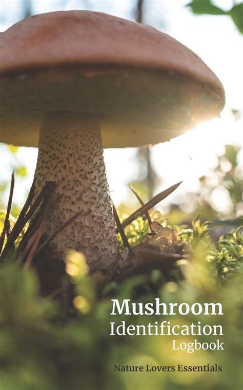 Buy Mushroom Identification Logbook: A guided record book for the wild ...