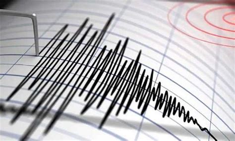 Earthquake : హిందూకుష్ ప్రాంతంలో భారీ భూకంపం.. వ‌ణికిన ఉత్త‌ర భార‌తం ...