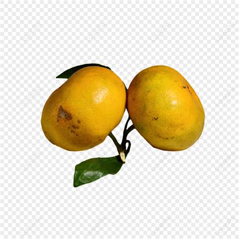 Two Fresh Ripe Seedless Oranges In Season Leaf Green, Ripe, Leaf, Fresh ...