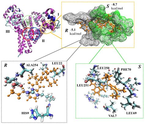 Enantioselective Human Serum Albumin Binding of Apremilast: Liquid ...