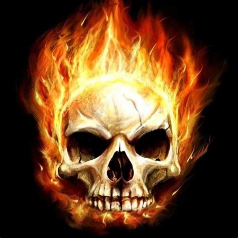 Infinity Status 的图像结果