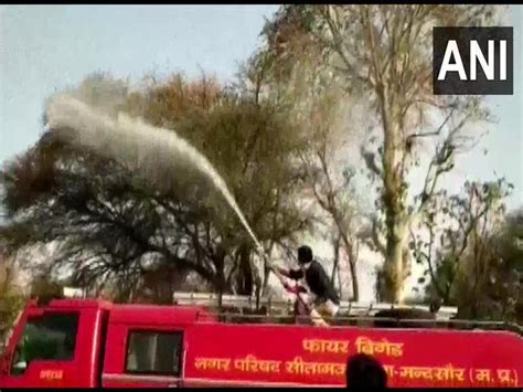 MP's Mandsaur battles locust invasion