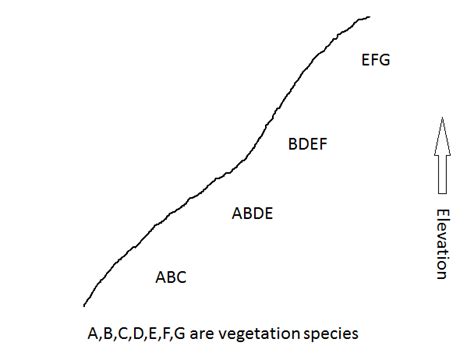 Image result for Environmental Gradient