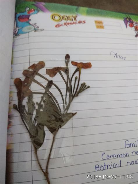 10 BEST Places to Visit in Chamba - UPDATED 2022 (with Photos & Reviews ...