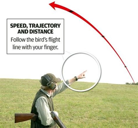 Image result for Basic Clay Target Instruction
