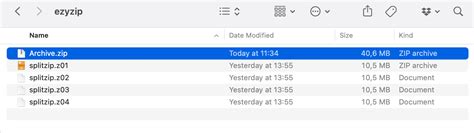 Image result for Open Z02 File
