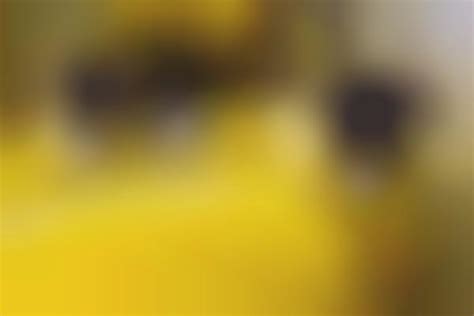 Colored Sheep Campaigns : tour de france campaign