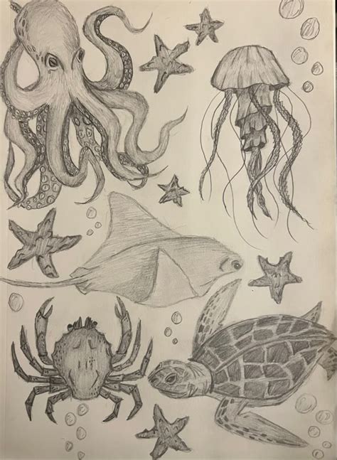 Sea creatures | Book art drawings, Art inspiration drawing, Cool art ...