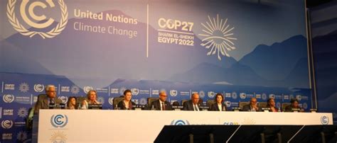 COP27: Agriculture sector both a victim of and contributor to climate ...