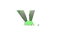 Image result for Wild Rabbit PNG