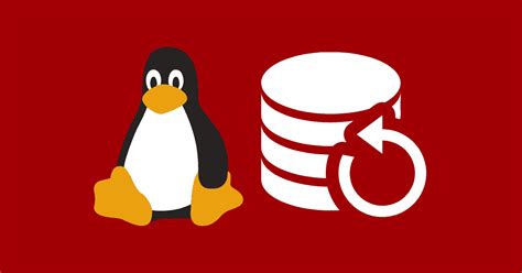 Image result for Linux Backups