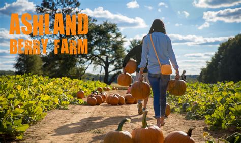 Home | Ashland Berry Farm