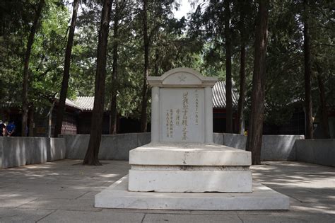 他临危受命，牺牲后却只能用六棵树辨识墓地_北京日报APP新闻