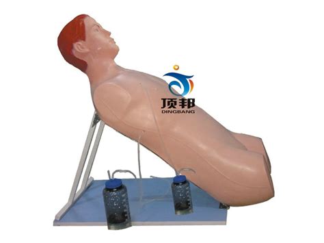 胸腔闭式引流术训练模型-上海顶邦公司