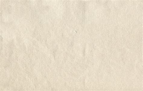 Ivory Pearl Metallic Cotton Rag Front Coated | Xylem