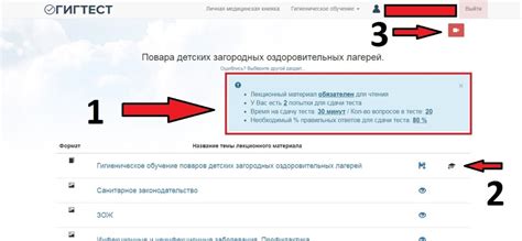 гигтест что это такое и зачем он нужен
