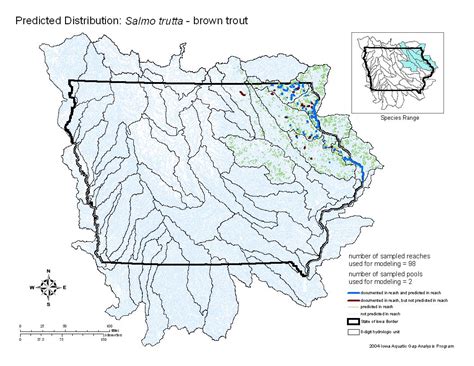 Fish Iowa - Fish Species - Brown Trout